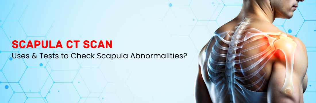 What are the Uses of Scapula CT Scan